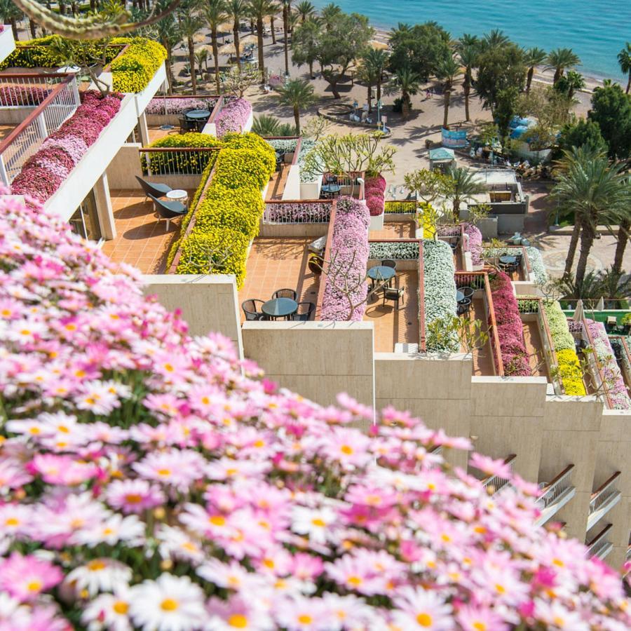 Dan Eilat Hotel Екстер'єр фото The hotel's flower-filled balconies
